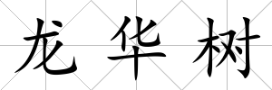 龍華樹
