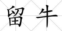 留牛
