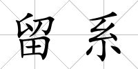 留系