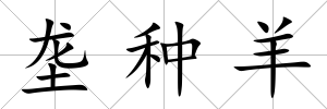 壟種羊