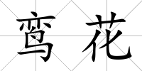鸞花
