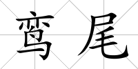 鸞尾
