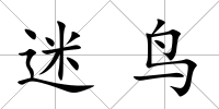 迷鳥