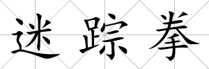 迷蹤拳