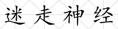 迷走神經