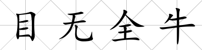 目無全牛