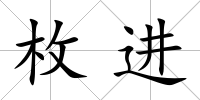 枚進(jìn)