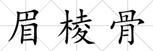 眉棱骨