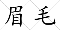 眉毛