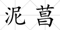泥菖