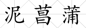 泥菖蒲