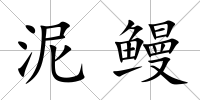 泥鰻