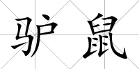 驢鼠