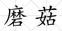 磨菇