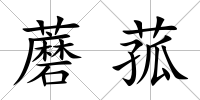 蘑菰