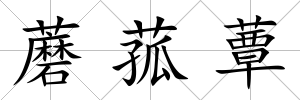 蘑菰蕈
