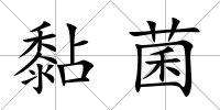 黏菌