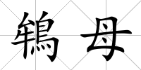 鴾母