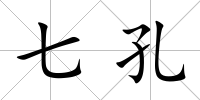 七孔