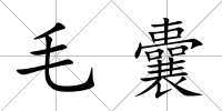 毛囊