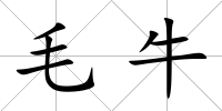 毛牛
