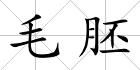 毛胚