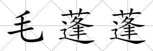 毛蓬蓬