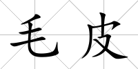 毛皮