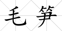 毛筍