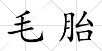 毛胎