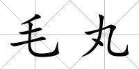 毛丸