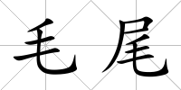 毛尾