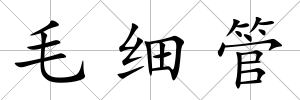 毛細管