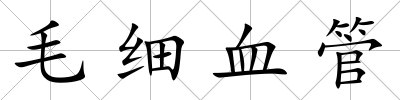毛細血管