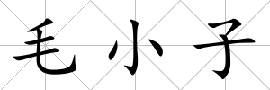 毛小子