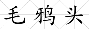 毛鴉頭