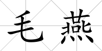 毛燕