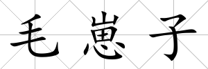 毛崽子
