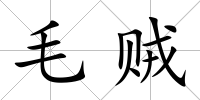 毛賊