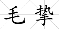 毛摯