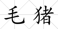 毛豬