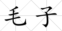 毛子