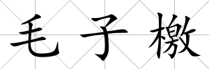 毛子檄