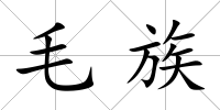 毛族