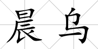 晨烏