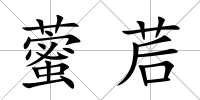 藌茩