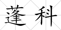 蓬科