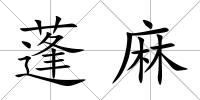 蓬麻