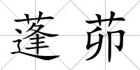蓬茆
