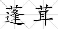 蓬茸